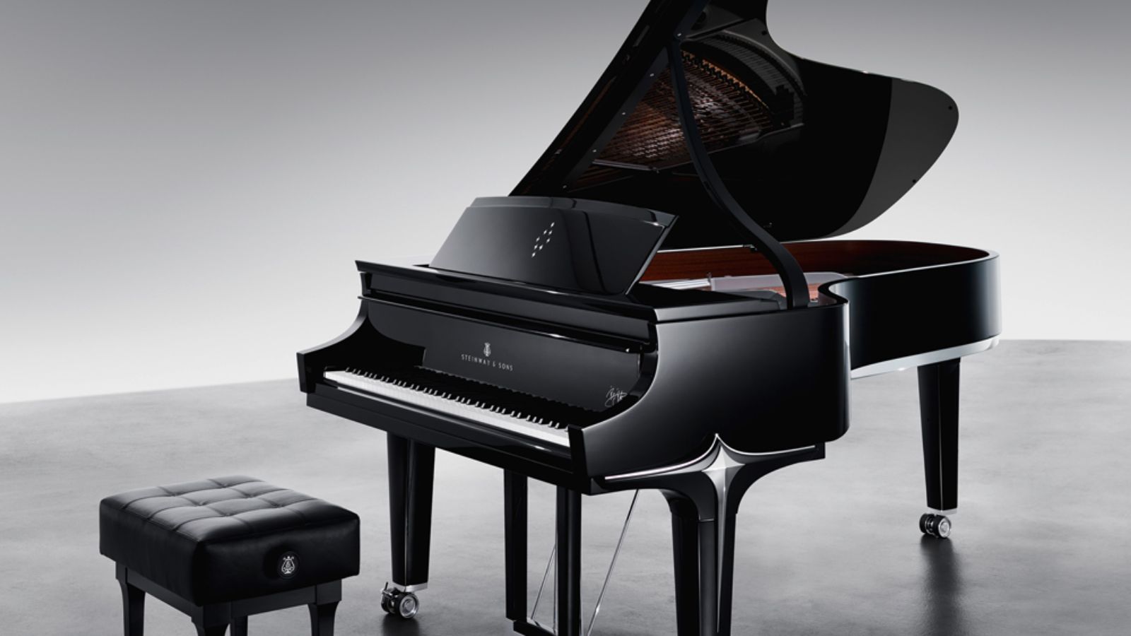 Steinway black sale diamond price